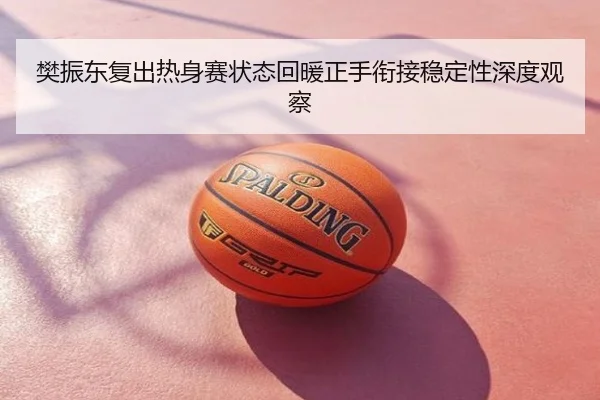 樊振东复出热身赛状态回暖正手衔接稳定性深度观察